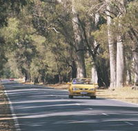 Ludlow Tuart Forest - Accommodation Fremantle