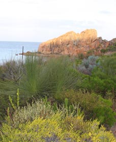 Meelup Trail - Accommodation Fremantle 0