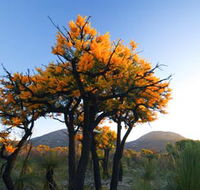 Cape Le Grand National Park - Accommodation Fremantle
