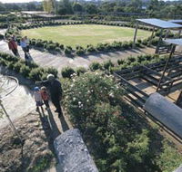 Kojonup Rose Maze - Accommodation Fremantle