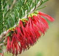 Ethel Daw Scenic Drive - Accommodation Fremantle