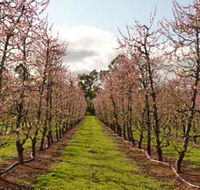 Raeburn Orchards - Accommodation Fremantle
