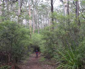 Margaret River Rails Trail - Accommodation Fremantle 0