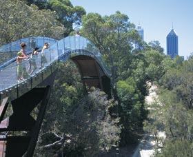 Lotterywest Federation Walkway - Accommodation Fremantle 0