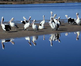 Peel Region Canoe Trails - Accommodation Fremantle 0