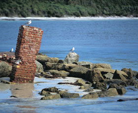 Whalers Beach - Accommodation Fremantle 0