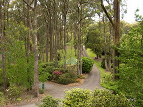 Mount Lofty Botanic Garden - Accommodation Fremantle 0