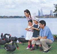 Lake Monger - Accommodation Fremantle