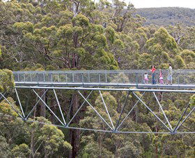 Walpole Wilderness Discovery Centre - Accommodation Fremantle 0