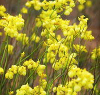 Mount Madden Scenic Drive - Accommodation Fremantle