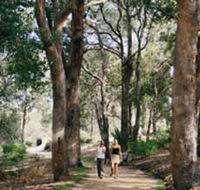 Law Trail and Lotterywest Federation Walkway Kings Park - Accommodation Fremantle