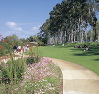 Kings Park Free Guided Walks - Accommodation Fremantle