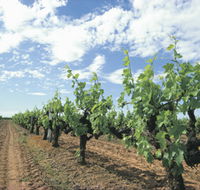 Blackwood Meadery - Accommodation Fremantle