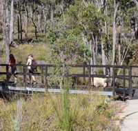 Forest Path Crooked Brook - Accommodation Fremantle