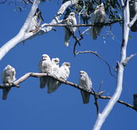 Carawine Gorge - Accommodation Fremantle