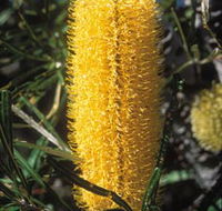 Moore River National Park - Accommodation Fremantle