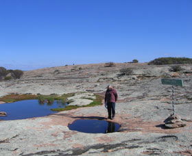 Dingo Rock - Accommodation Fremantle 0