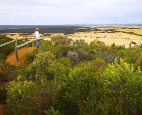 Archer Drive Scenic Drive And Lookout - Accommodation Fremantle 0