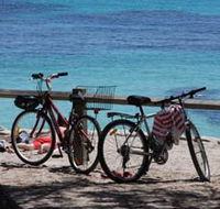 Parker Point Marine Snorkel Trail - Accommodation Fremantle