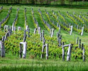 Sienna Estate Winery - Accommodation Fremantle 0