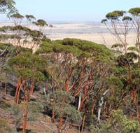 Mount Matilda Walk Trail Wongan Hills - Accommodation Fremantle