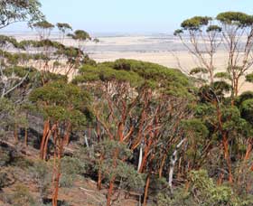 Mount Matilda Walk Trail, Wongan Hills - Accommodation Fremantle 0