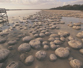 Yalgorup National Park - Accommodation Fremantle 0