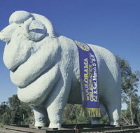 Giant Ram Tourist Park - Accommodation Fremantle