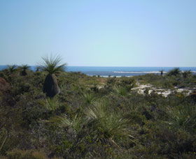 Lesueur National Park - Accommodation Fremantle 0