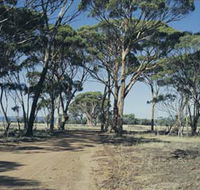 Lake Dumbleyung - Accommodation Fremantle