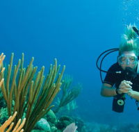 Coastal Water Dive - Accommodation Fremantle