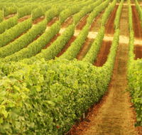 MadFish Wines Denmark - Accommodation Fremantle
