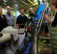 Eyre Peninsula's Seafood Trail - Accommodation Fremantle