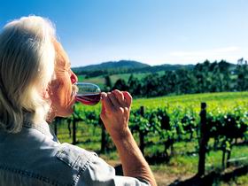 Ashton Hills Vineyard - Accommodation Fremantle 0