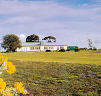 Lucindale Country Club - Accommodation Fremantle