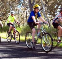 Penola Cycling Trails - Accommodation Fremantle