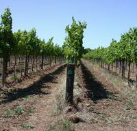 Temple Bruer Winery - Accommodation Fremantle