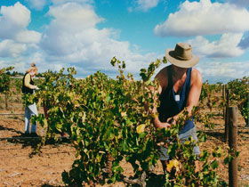 Torbreck Vintners - Accommodation Fremantle 0