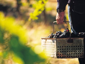 Burge Family Winemakers - Accommodation Fremantle 0