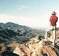 Devil's Peak Walking Trail - Accommodation Fremantle