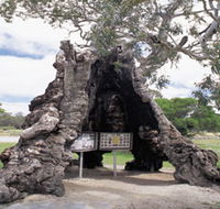 The Herbig Family Tree - Accommodation Fremantle