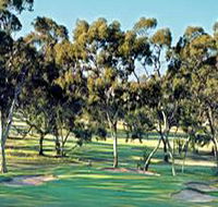 Tanunda Pines Golf Club - Accommodation Fremantle
