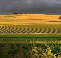 Kellermeister Wines - Accommodation Fremantle
