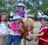 Amberainbow Pony Rides - Accommodation Fremantle