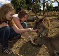 Kangaroo Island Wildlife Park - Accommodation Fremantle