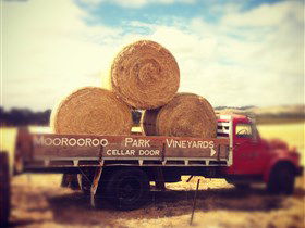 Moorooroo Park Vineyards - Accommodation Fremantle 0