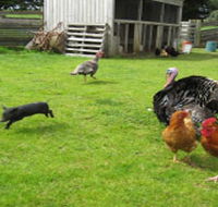 Echo Farm - Accommodation Fremantle