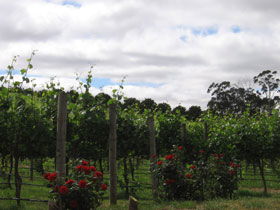  Accommodation Fremantle