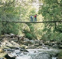 Arve Forest Drive - Accommodation Fremantle