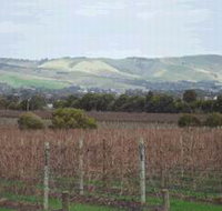 Mclaren Vale Premium Wines - Accommodation Fremantle